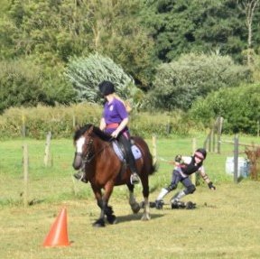 Valley Farm Equestrian Leisure – Horse Riding Holidays & Activities in Suffolk