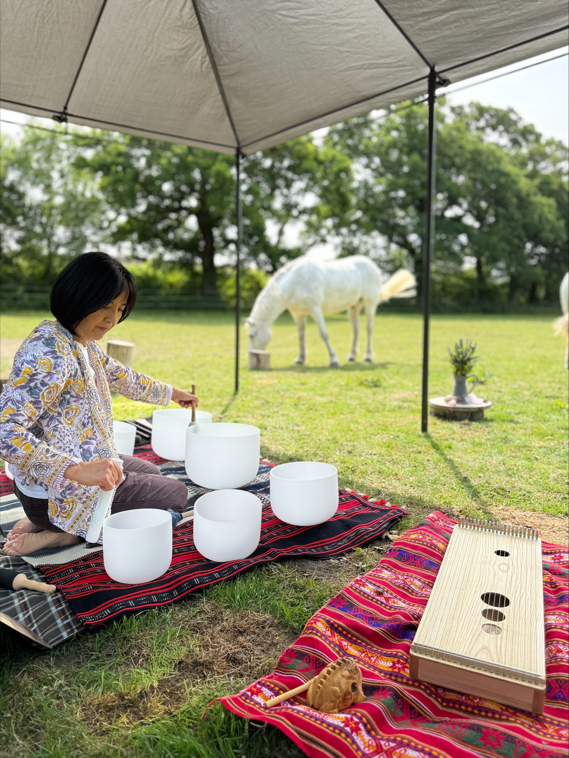 Westerlands – Horse Riding & Wellness Retreats, South Downs