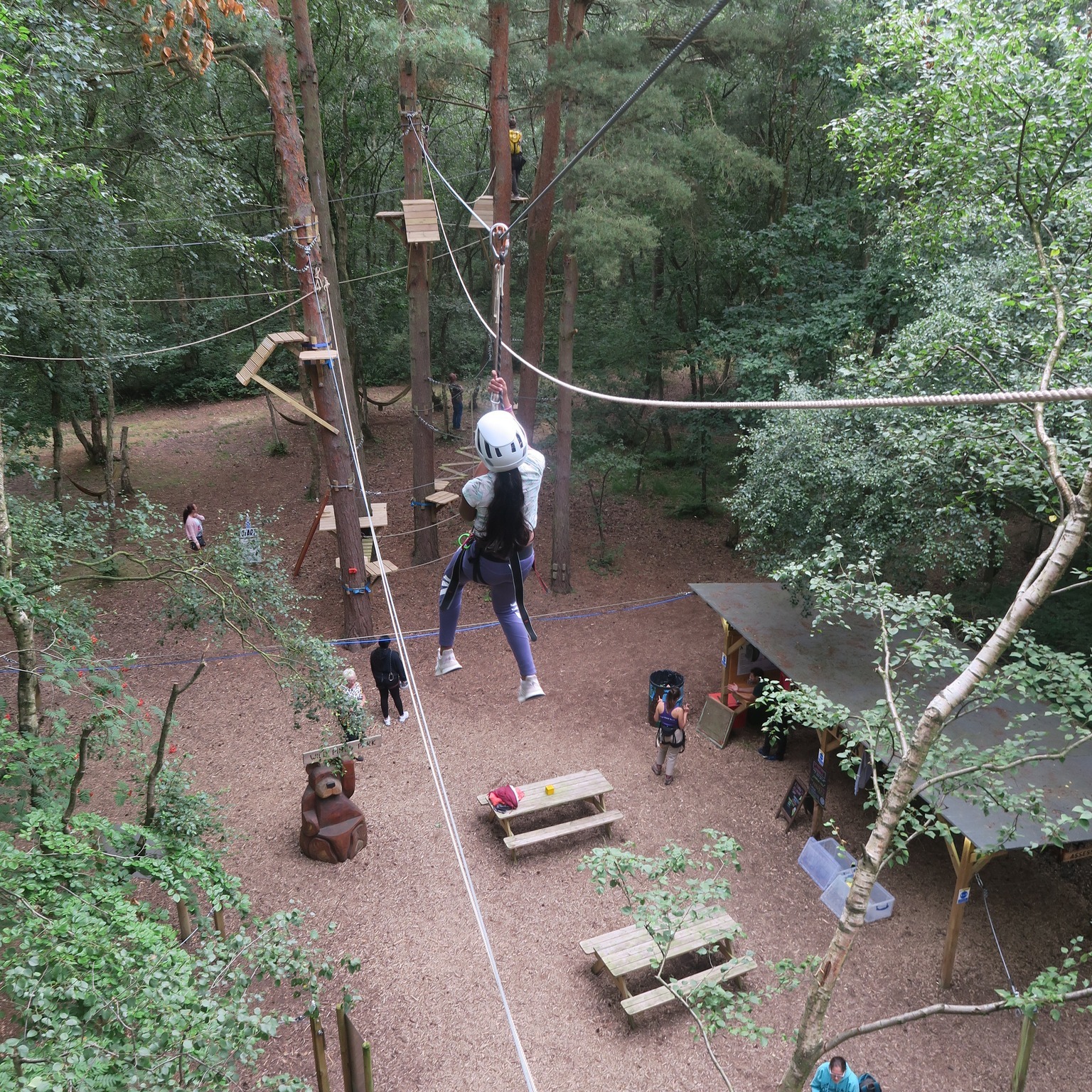 Wild Pines Park – Lincolnshire’s Award-Winning Outdoor Adventure Park