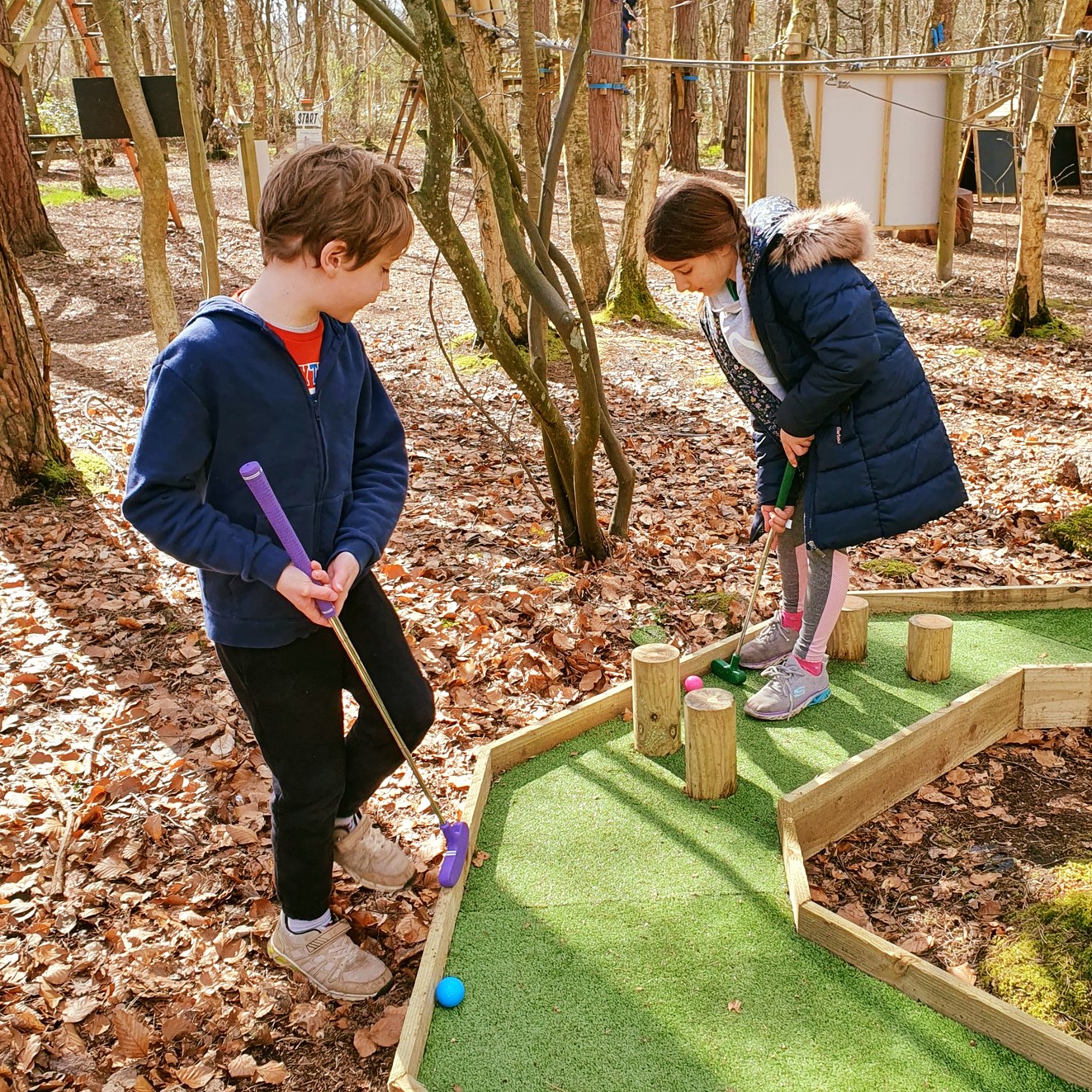 Wild Pines Park – Lincolnshire’s Award-Winning Outdoor Adventure Park