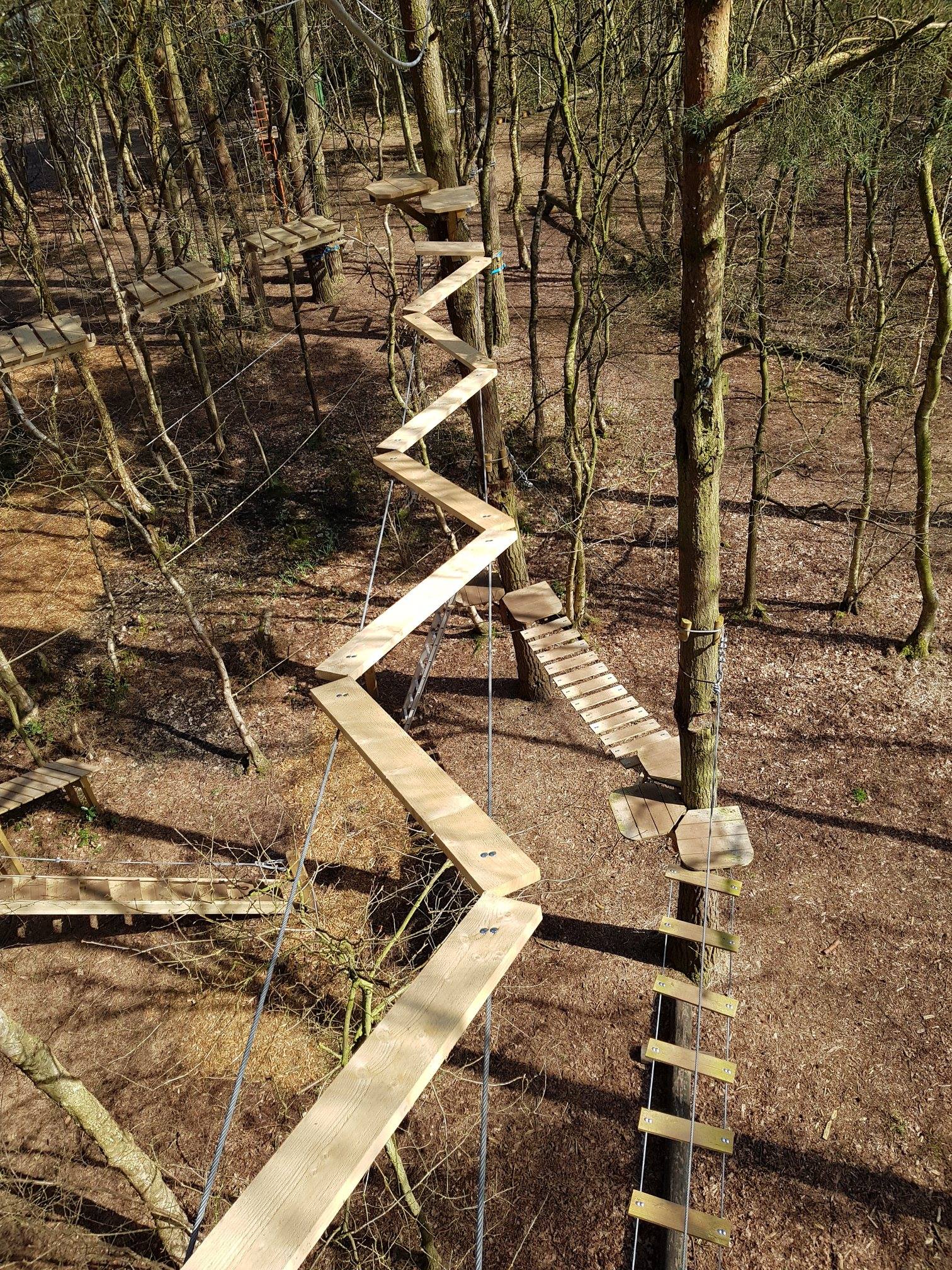 Wild Pines Park – Lincolnshire’s Award-Winning Outdoor Adventure Park