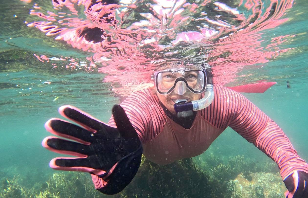 Wild Swim Wales – Guided Wild Swimming & Coastal Adventures in Pembrokeshire