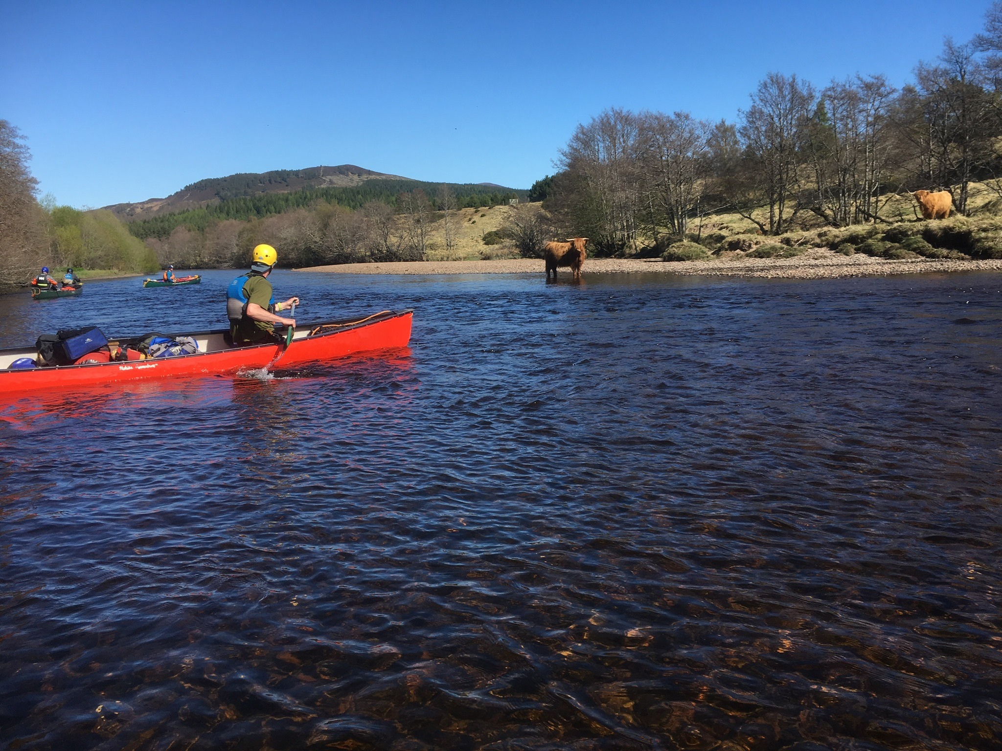Wildwood Bushcraft – Bushcraft & Wilderness Survival Courses in Scotland & England