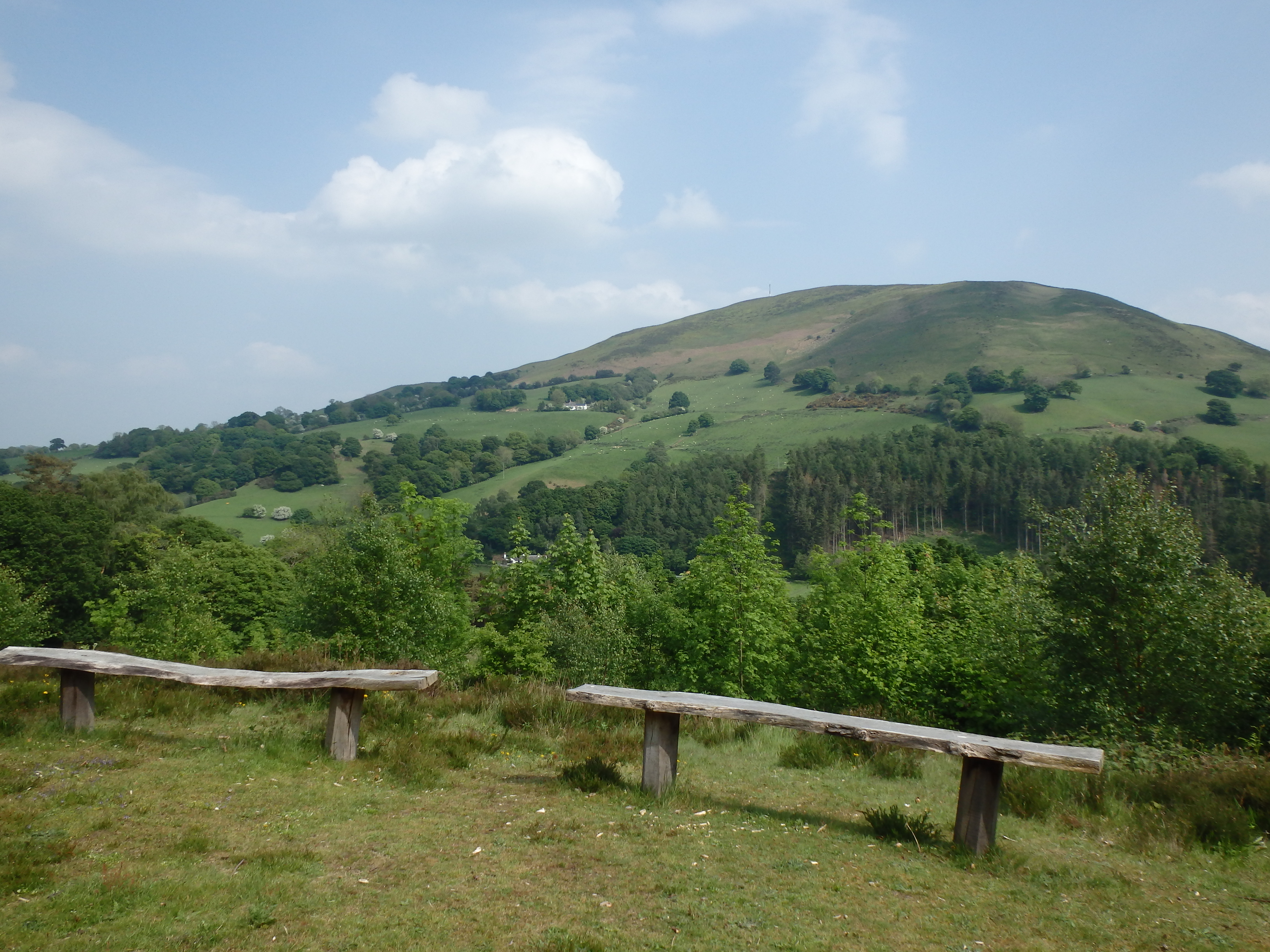 Woodland Skills Centre – Adventure, Craft & Nature Breaks in North Wales