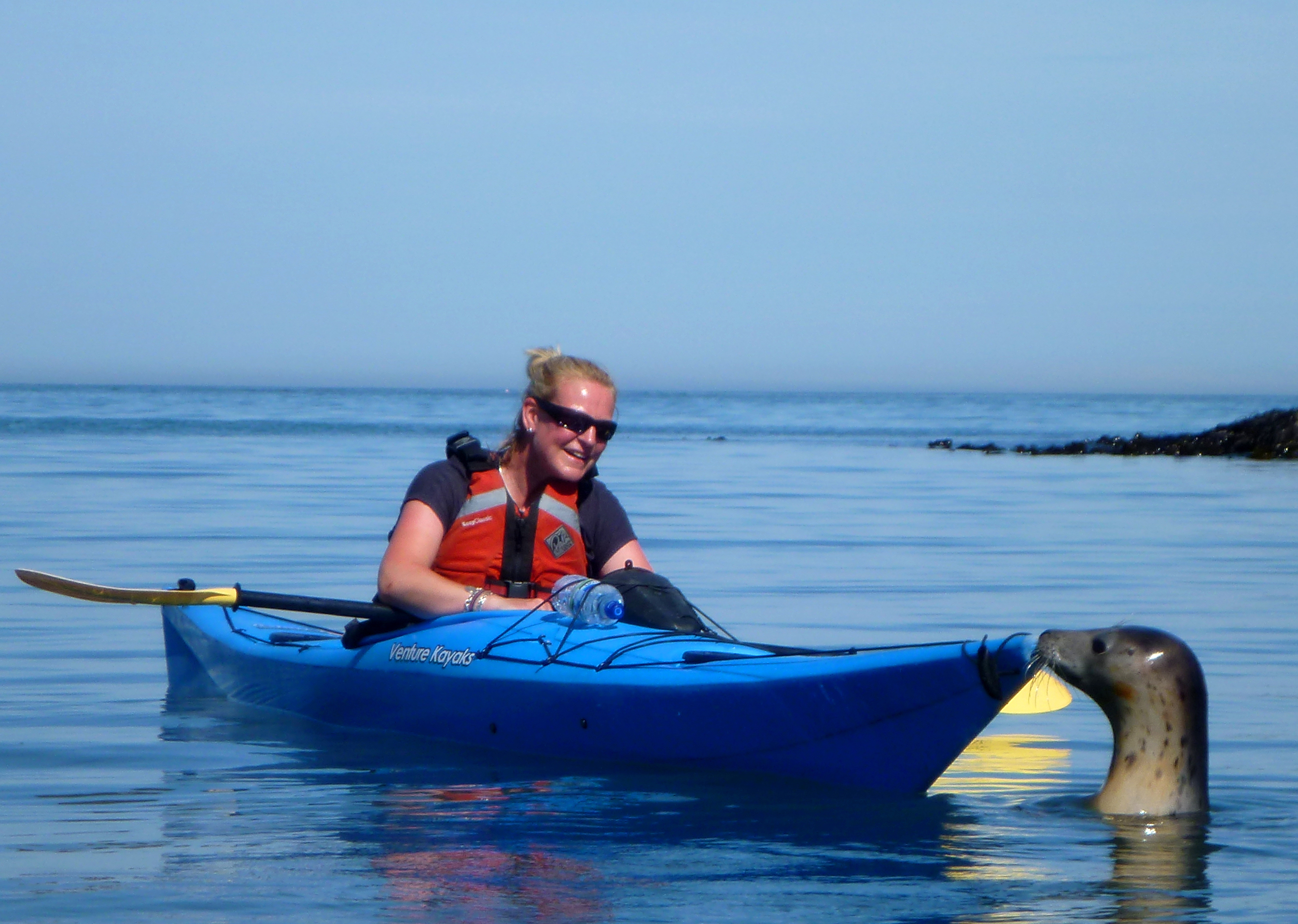 Sea Kayaking in Devon with seals