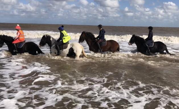  Horse Riding Experiences with Orchard Farm Equestrian