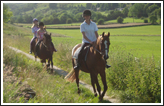 Children's Summer Camps