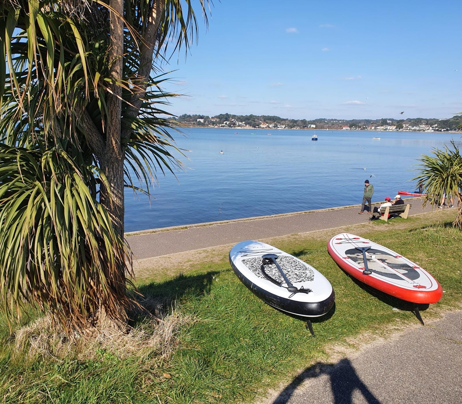 Paddleboards