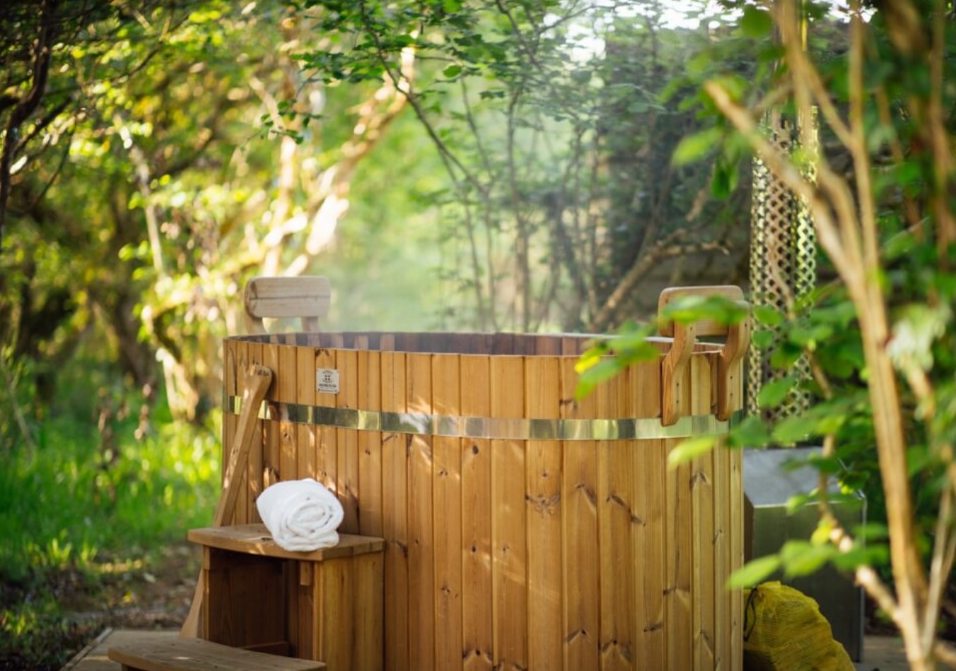 Wellness retreats with Wrinklers Wood in Devon
