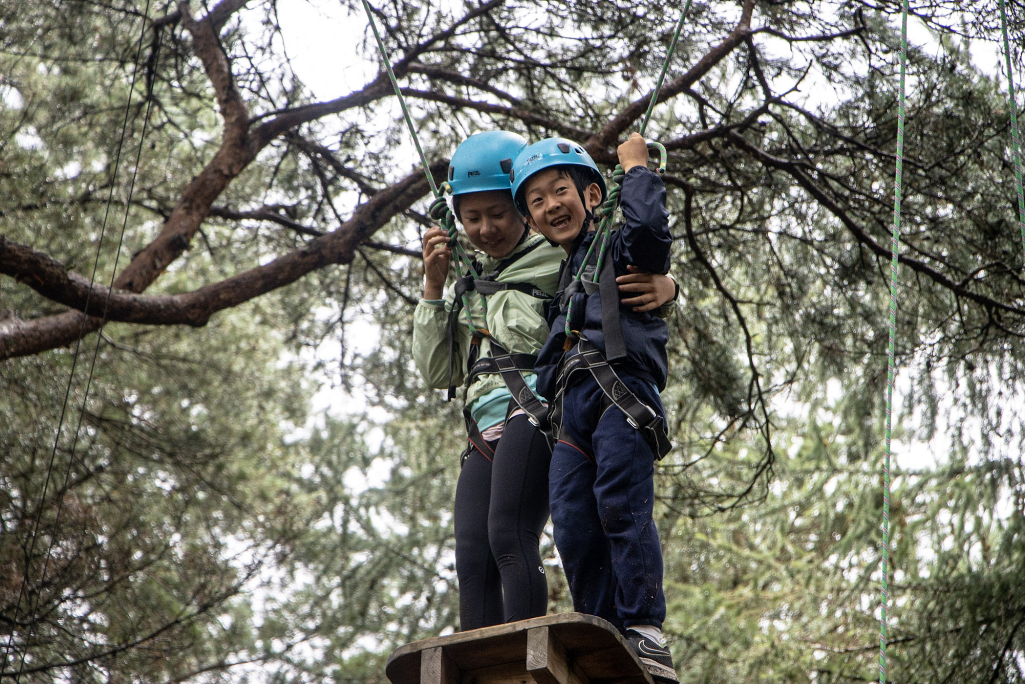 New Forest Activities - Kids Woodland Holiday Clubs